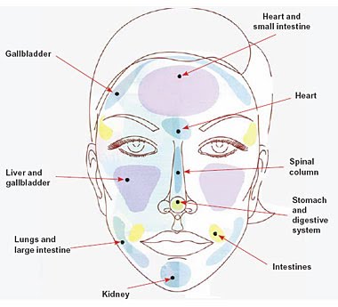 Acne Body Chart